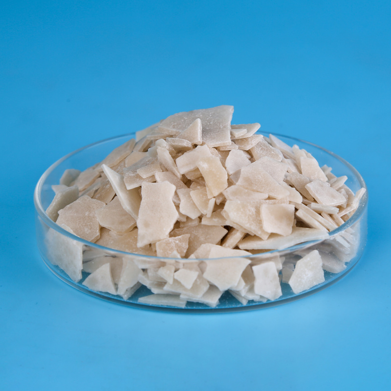 氯化鈣 、氯化鎂在水產養殖中的應用